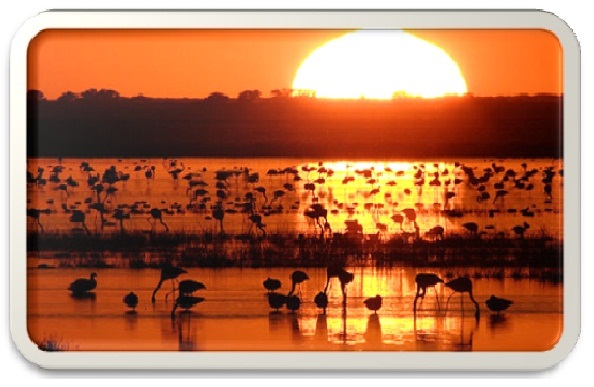 Parque Nacional de Doñana